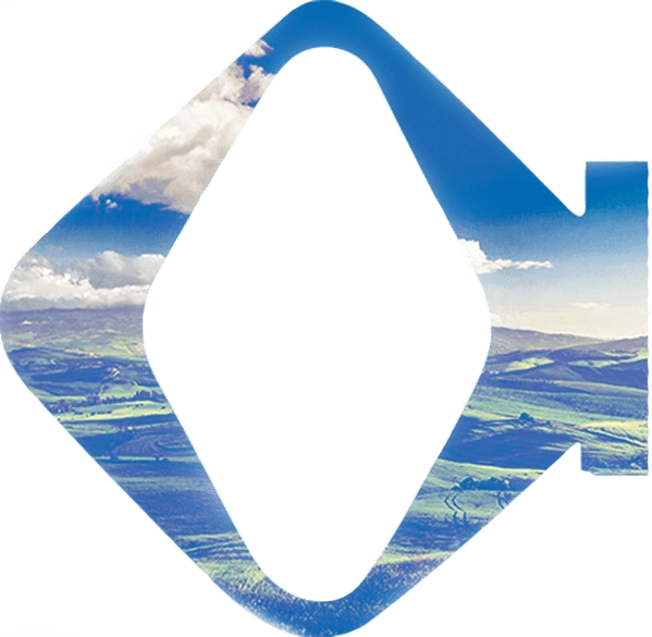 WE ARE PRODUCING FOR THE WORLD