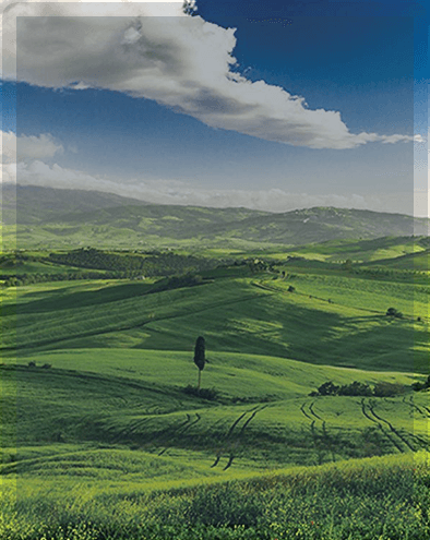 ENVIRONMENTAL AND OHS MANAGEMENT